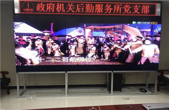 陜西省延安市某政府機關項目